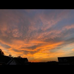 Meet your Posher, Shana